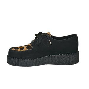Creepers Black Suede and Camel Wildcat