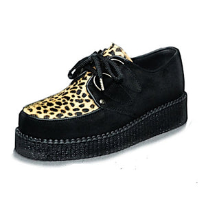 Creepers Black Suede and Camel Leopard